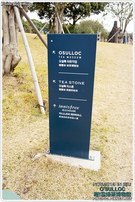 【濟州島景點】OSULLOC 雪綠茶博物館-李敏鎬潤娥innisfree廣告景點 @Alina 愛琳娜