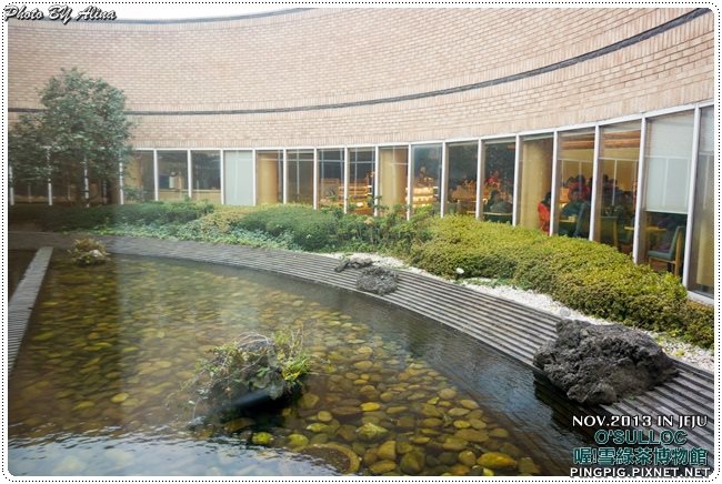 【濟州島景點】OSULLOC 雪綠茶博物館-李敏鎬潤娥innisfree廣告景點 @Alina 愛琳娜