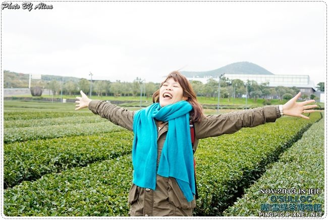 【濟州島景點】OSULLOC 雪綠茶博物館-李敏鎬潤娥innisfree廣告景點 @Alina 愛琳娜