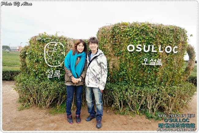【濟州島景點】OSULLOC 雪綠茶博物館-李敏鎬潤娥innisfree廣告景點 @Alina 愛琳娜