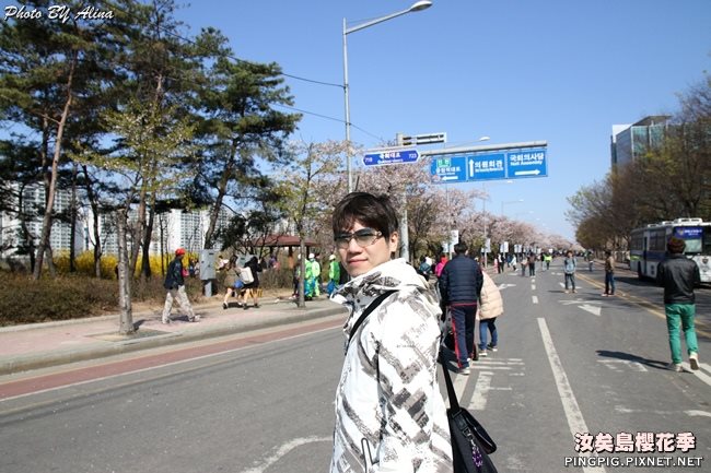 首爾汝矣島櫻花季|美拍櫻花景點:國會議事堂輪中路櫻花道 @Alina 愛琳娜 首爾汝矣島櫻花季-國會議事堂輪中路的櫻花道