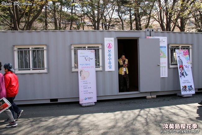 首爾汝矣島櫻花季|美拍櫻花景點:國會議事堂輪中路櫻花道 @Alina 愛琳娜 首爾汝矣島櫻花季-國會議事堂輪中路的櫻花道