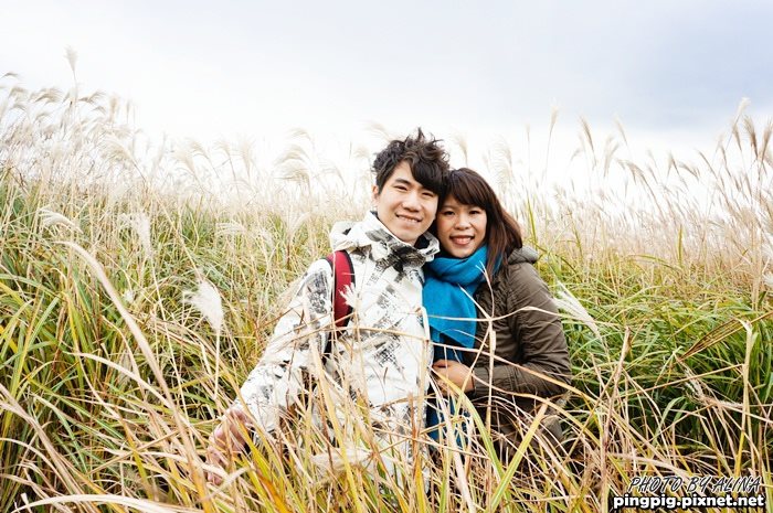 【濟州島景點】山君不離 宛若偶像劇場景的秋芒遍布火山口 @Alina 愛琳娜