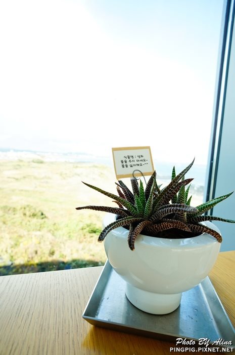 【濟州島景點】涉地可支鳳凰島 Mint at Glass House 仁顯王后韓劇場景 @Alina 愛琳娜