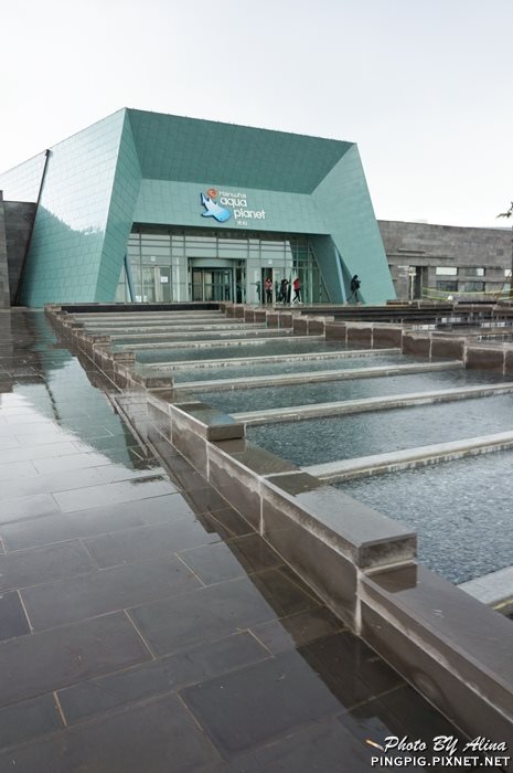 【濟州島景點】涉地可支 濟洲水上星球水族館 Aqua Planet JEJU @Alina 愛琳娜 【濟州島景點】涉地可支 濟洲水上星球水族館 Aqua Planet JEJU @Alina 愛琳娜