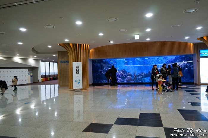 【濟州島景點】涉地可支 濟洲水上星球水族館 Aqua Planet JEJU @Alina 愛琳娜 【濟州島景點】涉地可支 濟洲水上星球水族館 Aqua Planet JEJU @Alina 愛琳娜