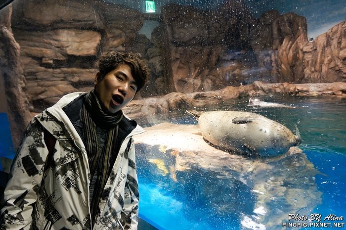 【濟州島景點】涉地可支 濟洲水上星球水族館 Aqua Planet JEJU @Alina 愛琳娜