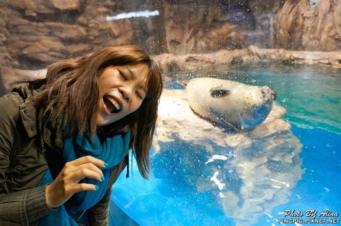 【濟州島景點】涉地可支 濟洲水上星球水族館 Aqua Planet JEJU @Alina 愛琳娜 【濟州島景點】涉地可支 濟洲水上星球水族館 Aqua Planet JEJU @Alina 愛琳娜