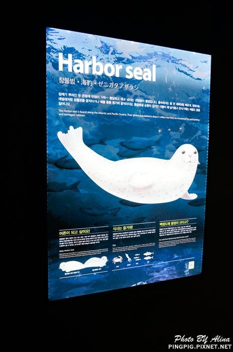 【濟州島景點】涉地可支 濟洲水上星球水族館 Aqua Planet JEJU @Alina 愛琳娜 【濟州島景點】濟洲水上星球水族館 Aqua Planet JEJU 아쿠아플라넷