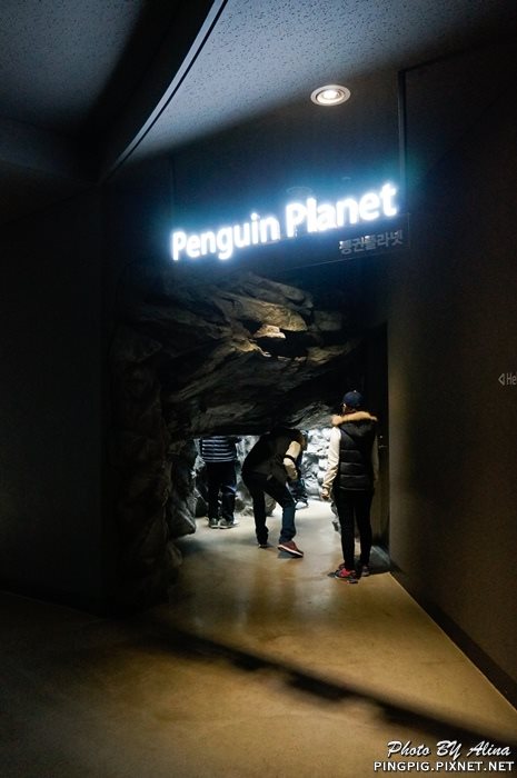【濟州島景點】涉地可支 濟洲水上星球水族館 Aqua Planet JEJU @Alina 愛琳娜 【濟州島景點】濟洲水上星球水族館 Aqua Planet JEJU 아쿠아플라넷