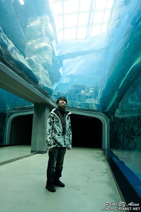 【濟州島景點】涉地可支 濟洲水上星球水族館 Aqua Planet JEJU @Alina 愛琳娜 【濟州島景點】濟洲水上星球水族館 Aqua Planet JEJU 아쿠아플라넷