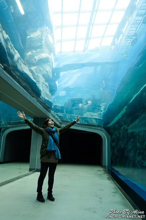 【濟州島景點】涉地可支 濟洲水上星球水族館 Aqua Planet JEJU @Alina 愛琳娜 【濟州島景點】濟洲水上星球水族館 Aqua Planet JEJU 아쿠아플라넷