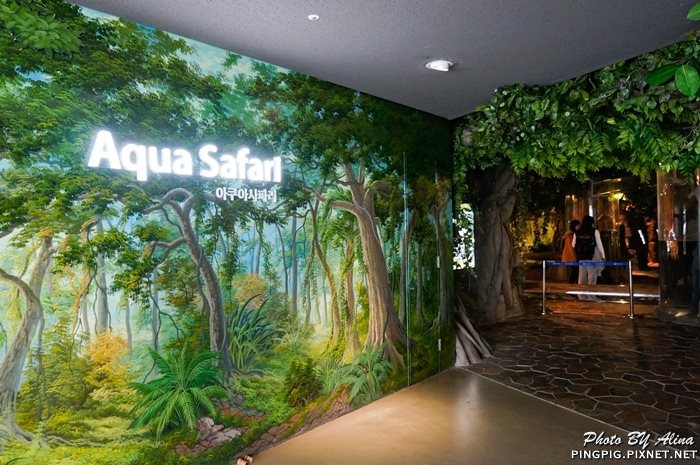 【濟州島景點】涉地可支 濟洲水上星球水族館 Aqua Planet JEJU @Alina 愛琳娜 【濟州島景點】涉地可支 濟洲水上星球水族館 Aqua Planet JEJU @Alina 愛琳娜