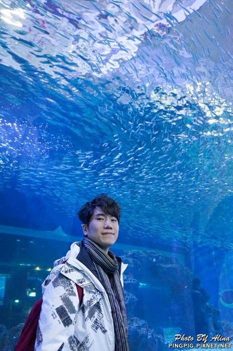 【濟州島景點】涉地可支 濟洲水上星球水族館 Aqua Planet JEJU @Alina 愛琳娜 【濟州島景點】濟洲水上星球水族館 Aqua Planet JEJU 아쿠아플라넷