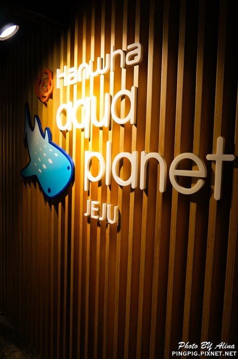 【濟州島景點】涉地可支 濟洲水上星球水族館 Aqua Planet JEJU @Alina 愛琳娜 【濟州島景點】濟洲水上星球水族館 Aqua Planet JEJU 就在涉地可支
