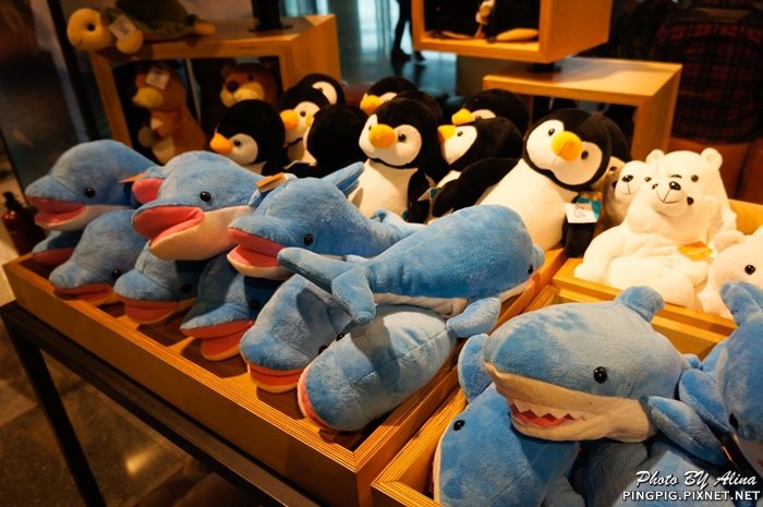 【濟州島景點】涉地可支 濟洲水上星球水族館 Aqua Planet JEJU @Alina 愛琳娜 【濟州島景點】濟洲水上星球水族館 Aqua Planet JEJU 就在涉地可支