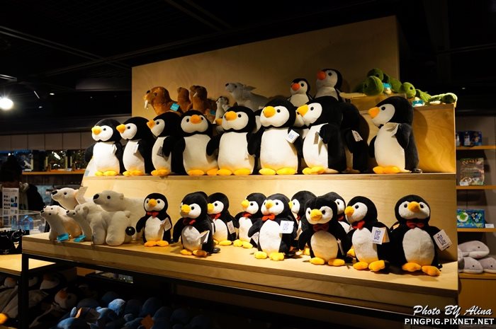 【濟州島景點】濟洲水上星球水族館 Aqua Planet JEJU 就在涉地可支