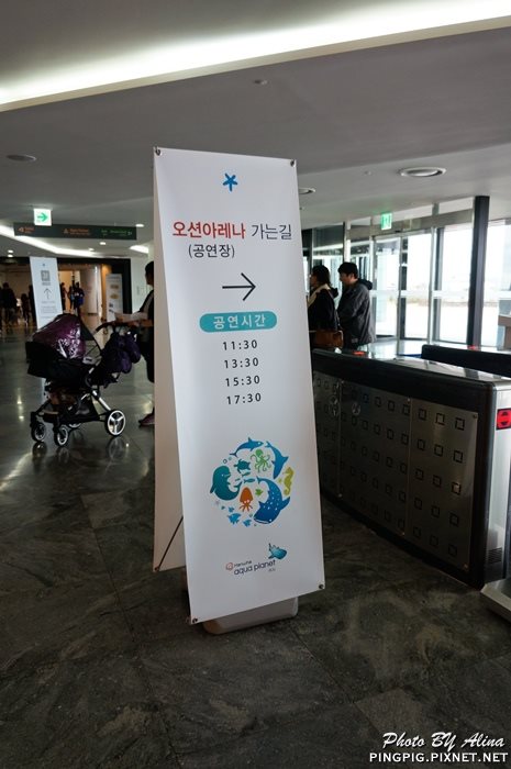 【濟州島景點】涉地可支 濟洲水上星球水族館 Aqua Planet JEJU @Alina 愛琳娜 【濟州島景點】濟洲水上星球水族館 Aqua Planet JEJU 아쿠아플라넷