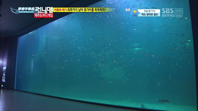 【濟州島景點】涉地可支 濟洲水上星球水族館 Aqua Planet JEJU @Alina 愛琳娜 【濟州島景點】濟洲水上星球水族館 Aqua Planet JEJU 아쿠아플라넷