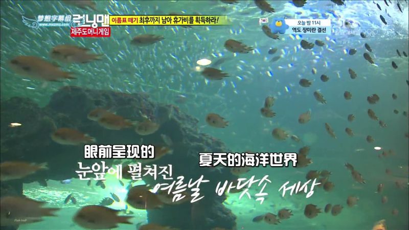 【濟州島景點】涉地可支 濟洲水上星球水族館 Aqua Planet JEJU @Alina 愛琳娜 【濟州島景點】濟洲水上星球水族館 Aqua Planet JEJU 아쿠아플라넷