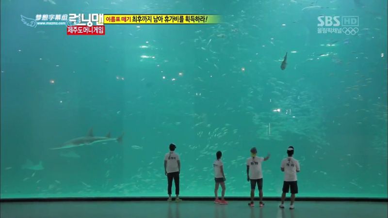 【濟州島景點】涉地可支 濟洲水上星球水族館 Aqua Planet JEJU @Alina 愛琳娜 【濟州島景點】濟洲水上星球水族館 Aqua Planet JEJU 아쿠아플라넷