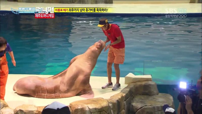 【濟州島景點】涉地可支 濟洲水上星球水族館 Aqua Planet JEJU @Alina 愛琳娜 【濟州島景點】濟洲水上星球水族館 Aqua Planet JEJU 아쿠아플라넷