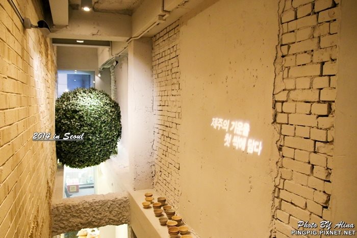 Osulloc tea house 雪綠茶 首爾明洞店|來自濟州島的綠茶甜點,蛋糕冰淇淋都好吃 @Alina 愛琳娜 Osulloc tea house 雪綠茶 首爾明洞店|來自濟州島的綠茶甜點,蛋糕冰淇淋都好吃 @Alina 愛琳娜