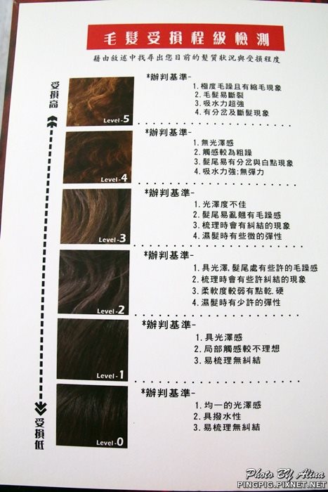 【台中美髮】逢甲商圈 VS Hair Salon 燙染髮,茶咖啡給我好氣色 @Alina 愛琳娜
