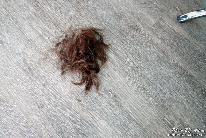 【台中美髮】逢甲商圈 VS Hair Salon 燙染髮,茶咖啡給我好氣色 @Alina 愛琳娜