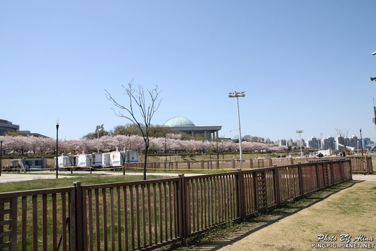 【首爾景點】汝矣島漢江公園|韓劇城市獵人浪漫場景 @Alina 愛琳娜 【首爾景點】汝矣島漢江公園|韓劇城市獵人浪漫場景 @Alina 愛琳娜