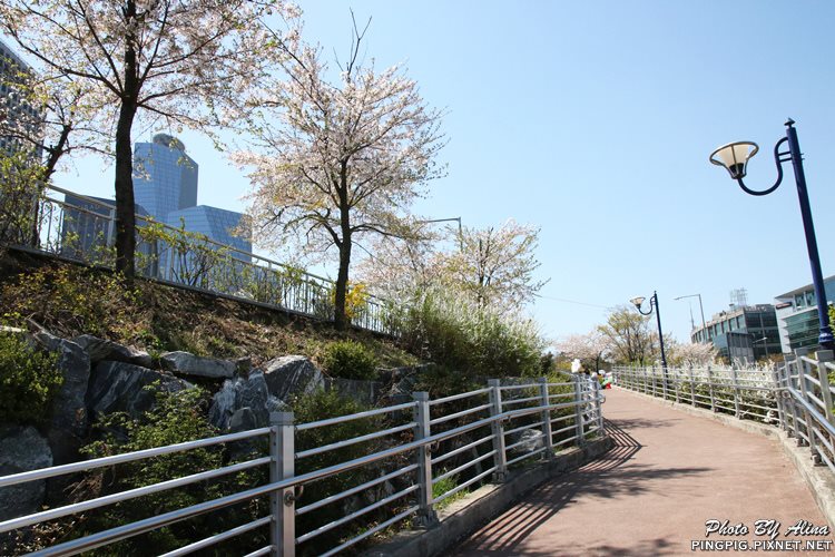 【首爾景點】汝矣島漢江公園|韓劇城市獵人浪漫場景 @Alina 愛琳娜 【首爾景點】汝矣島漢江公園|韓劇城市獵人浪漫場景 @Alina 愛琳娜