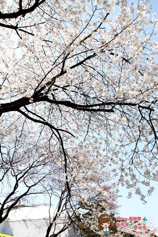 【首爾景點】慶熙宮 경희궁 韓劇仁顯王后的男人,跨時空交錯場景 @Alina 愛琳娜 【首爾景點】慶熙宮 경희궁 韓劇仁顯王后的男人,跨時空交錯場景 @Alina 愛琳娜