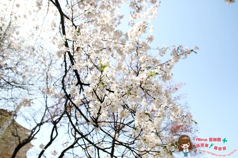 【首爾景點】慶熙宮 경희궁 韓劇仁顯王后的男人,跨時空交錯場景 @Alina 愛琳娜 【首爾景點】慶熙宮 경희궁 韓劇仁顯王后的男人,跨時空交錯場景 @Alina 愛琳娜