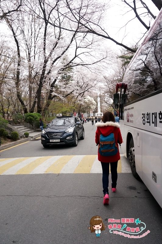 【首爾景點】慶熙大學 櫻花季賞花趣，地鐵轉公車交通方式 @Alina 愛琳娜