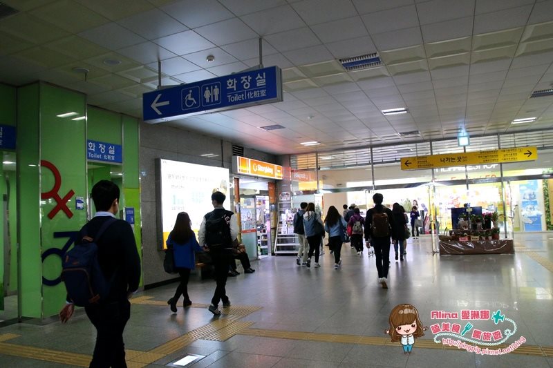 【首爾景點】慶熙大學 櫻花季賞花趣，地鐵轉公車交通方式 @Alina 愛琳娜