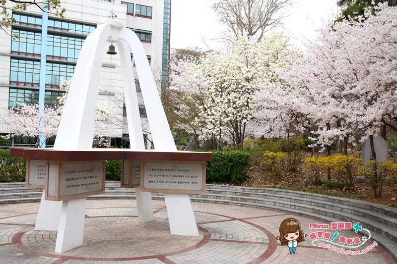 【首爾景點】慶熙大學 櫻花季賞花趣，地鐵轉公車交通方式 @Alina 愛琳娜