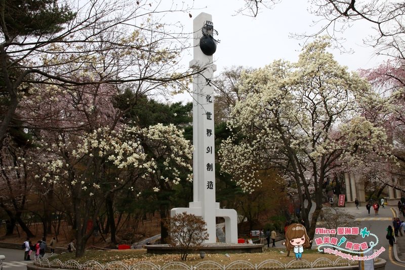 【首爾景點】慶熙大學 櫻花季賞花趣，地鐵轉公車交通方式 @Alina 愛琳娜