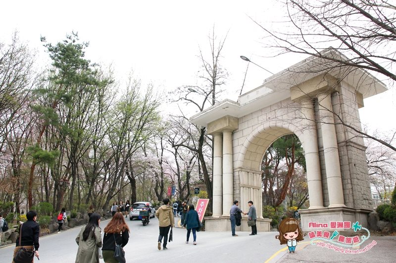【首爾景點】慶熙大學 櫻花季賞花趣，地鐵轉公車交通方式 @Alina 愛琳娜