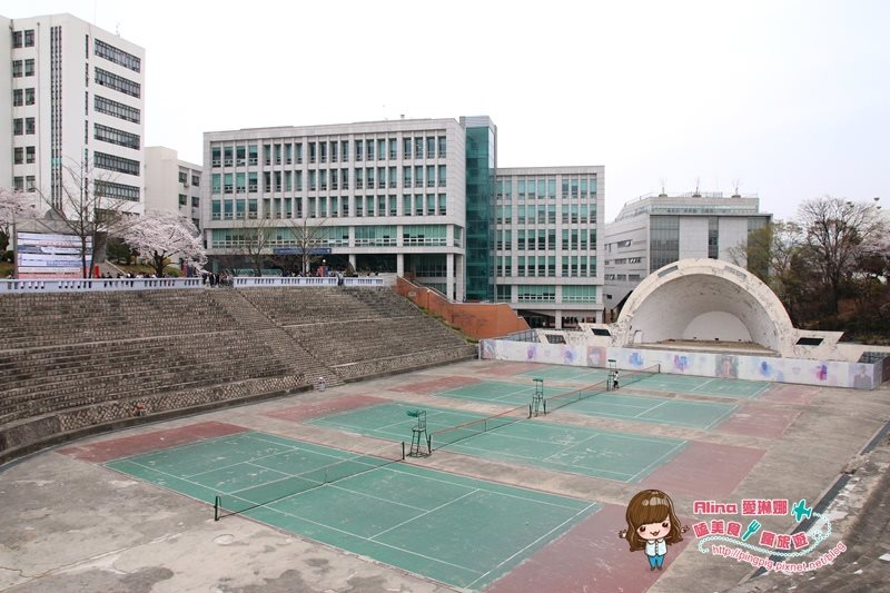 【首爾景點】慶熙大學 櫻花季賞花趣，地鐵轉公車交通方式 @Alina 愛琳娜