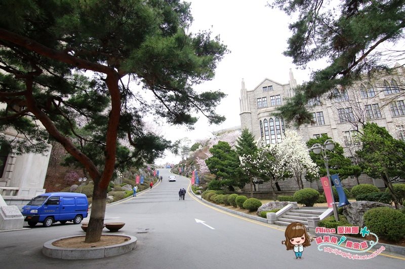 【首爾景點】慶熙大學 櫻花季賞花趣，地鐵轉公車交通方式 @Alina 愛琳娜