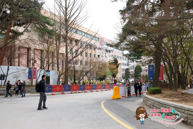 【首爾景點】慶熙大學 櫻花季賞花趣，地鐵轉公車交通方式 @Alina 愛琳娜