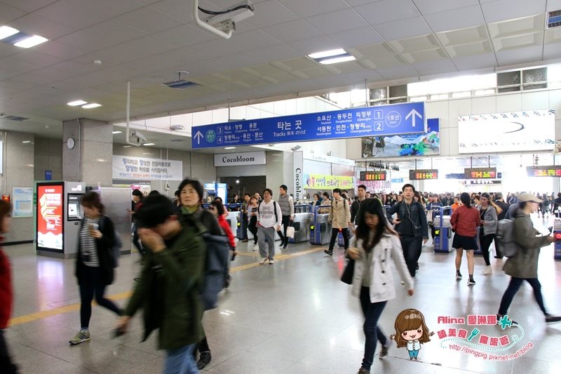 【首爾景點】慶熙大學 櫻花季賞花趣，地鐵轉公車交通方式 @Alina 愛琳娜