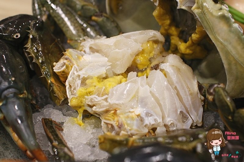 【台北食記】十二籃螃蟹火鍋 秋蟹沙公海陸粥火鍋,秋天吃最鮮美 @Alina 愛琳娜 【台北食記】十二籃螃蟹火鍋 秋蟹沙公海陸粥火鍋,秋天吃最鮮美 @Alina 愛琳娜