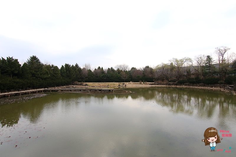 【韓國景點】京畿道坡州一日遊 韓劇景點 BCJ 碧草池文化樹木園 @Alina 愛琳娜 【韓國景點】京畿道坡州一日遊 韓劇景點 BCJ 碧草池文化樹木園 @Alina 愛琳娜