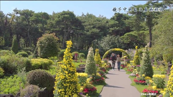 【韓國景點】京畿道坡州一日遊 韓劇景點 BCJ 碧草池文化樹木園 @Alina 愛琳娜
