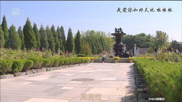 【韓國景點】京畿道坡州一日遊 韓劇景點 BCJ 碧草池文化樹木園 @Alina 愛琳娜