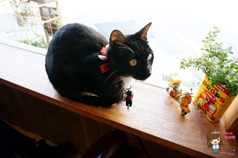 【花蓮咖啡】咖啡花 Caffe Fiore 老木屋文青咖啡館，推抹茶蛋糕捲 @Alina 愛琳娜