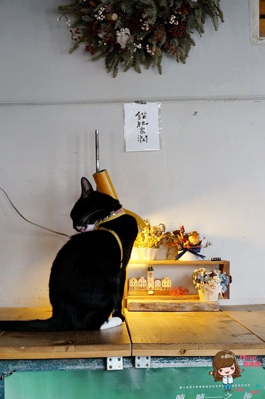 【花蓮咖啡】咖啡花 Caffe Fiore 老木屋文青咖啡館,推抹茶蛋糕捲 @Alina 愛琳娜 【花蓮咖啡】咖啡花 Caffe Fiore 老木屋文青咖啡館,推抹茶蛋糕捲 @Alina 愛琳娜