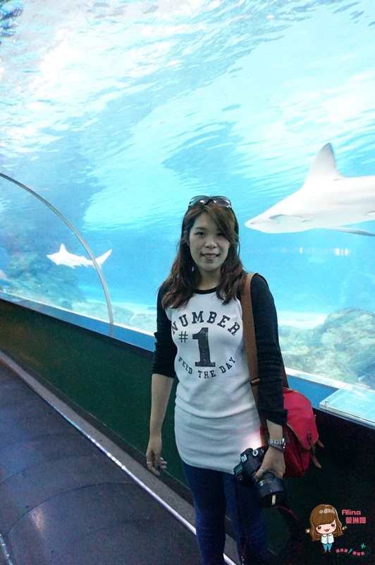 COEX水族館