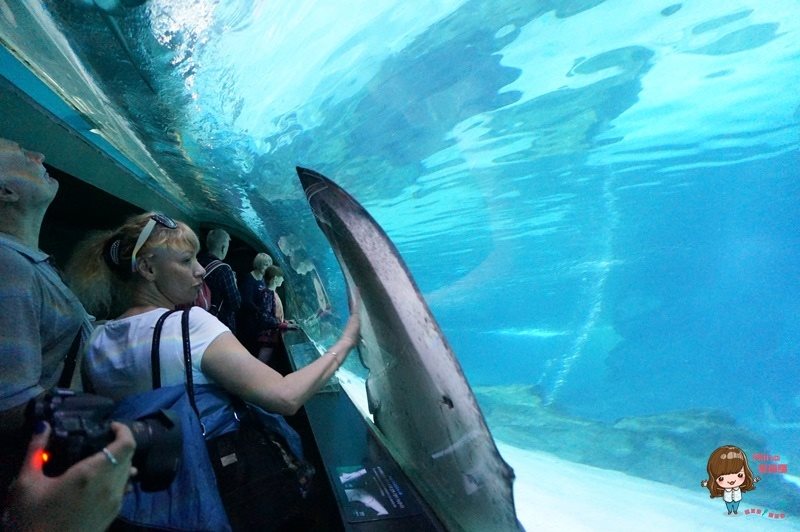 COEX水族館